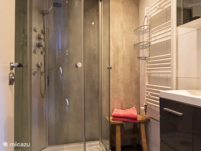 chalet huren in Nederland, Gelderland, Doornspijk – De Eekhoorn M20 Douche