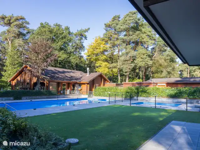 chalet huren in Nederland, Gelderland, Doornspijk – De Eekhoorn M20 Zwembad van het bospark. (toegankelijk voor gasten van huisje de Eekhoorn, M20)