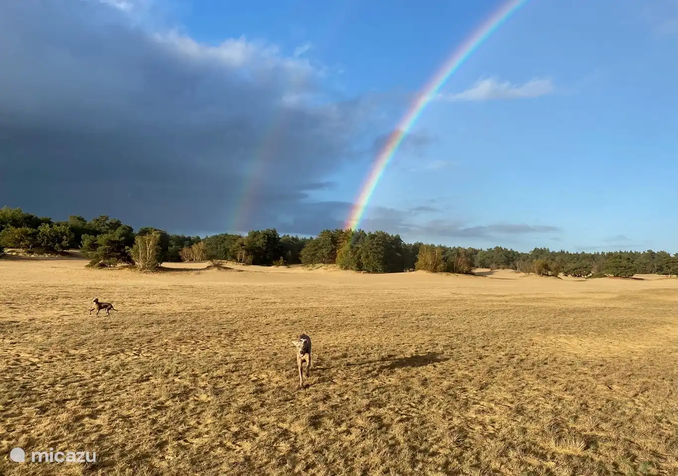 Der Sand driftet direkt hinter dem Park