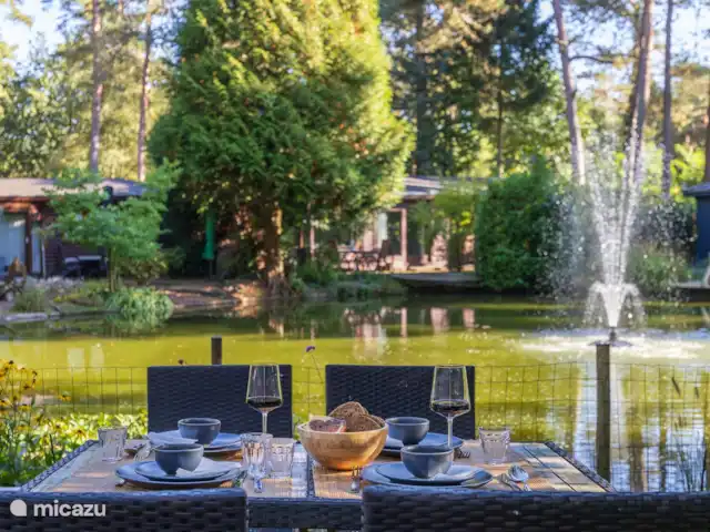 chalet huren in Nederland, Gelderland, Doornspijk – De Eekhoorn M20 Lekker eten in de tuin