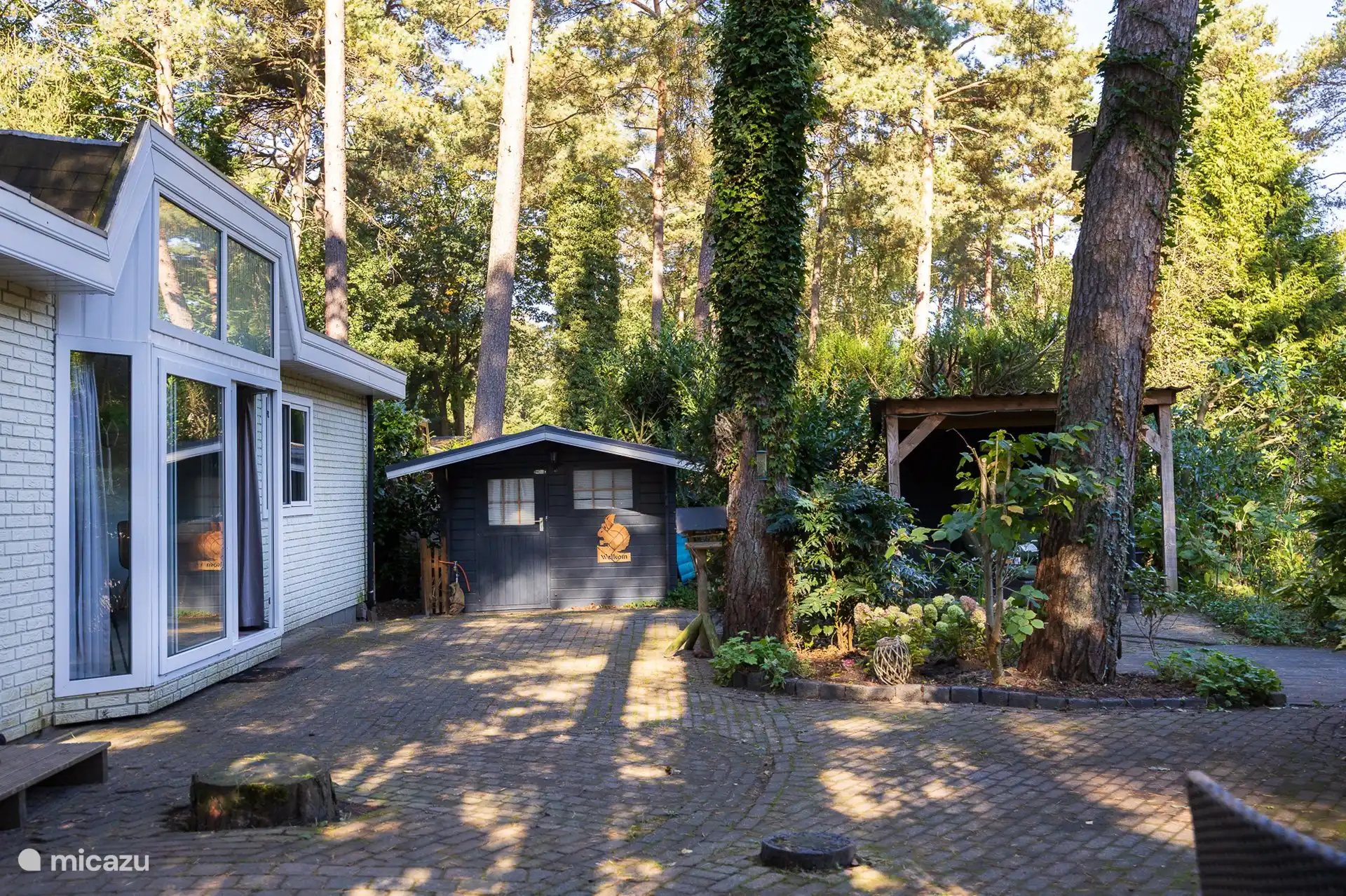 Terrasse mit Schuppen und Baldachin über dem Lounge-Set