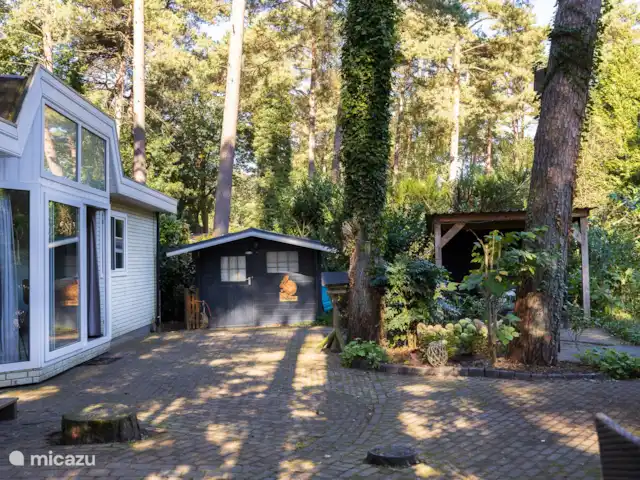 chalet huren in Nederland, Gelderland, Doornspijk – De Eekhoorn M20 Terras met schuurtje en overkapping boven lounge set