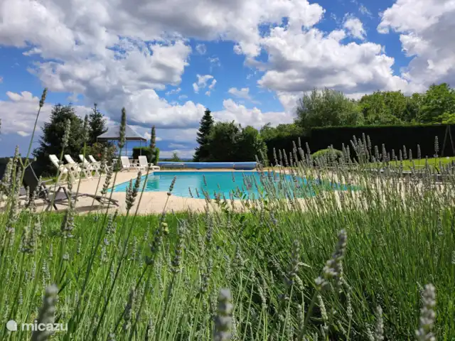 Monribot huren in Frankrijk, Dordogne, Rouffignac - vakantiehuis Zwembad