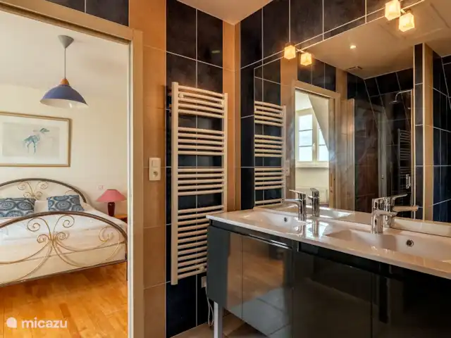 Monribot huren in Frankrijk, Dordogne, Rouffignac - vakantiehuis Damestoilet