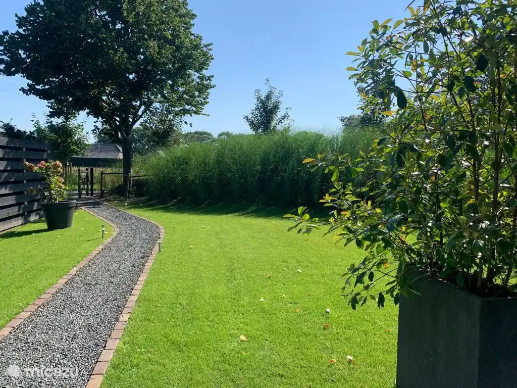 Der Weg von De Dommelaar von der Terrasse aus