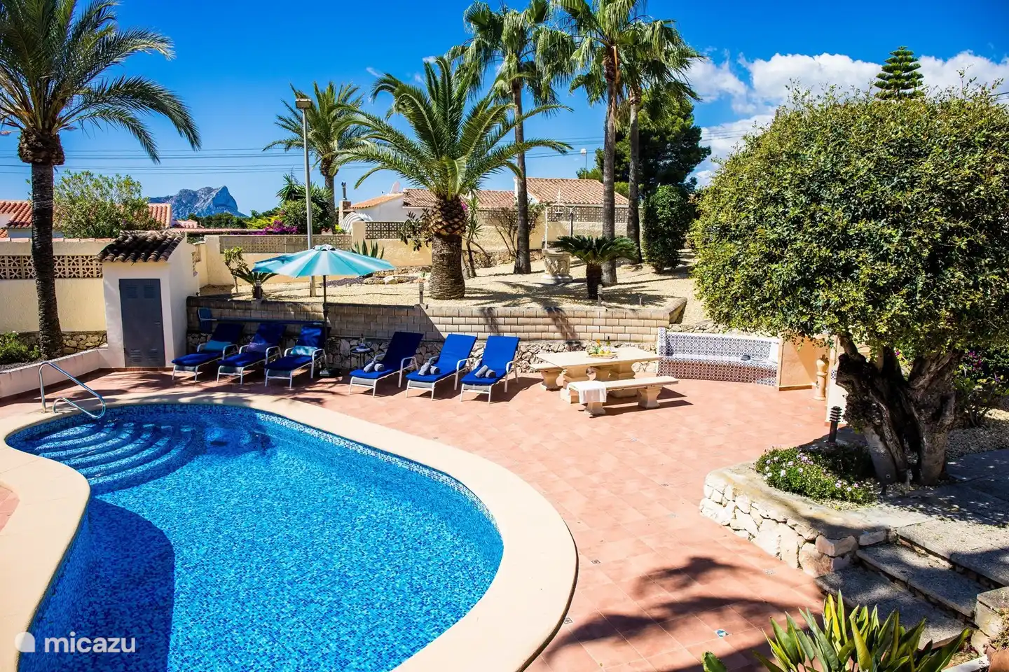 Großzügiger Garten