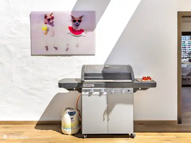 appartement huren in Spanje, Gran Canaria, Puerto Rico – Casa Lola Casa Lola