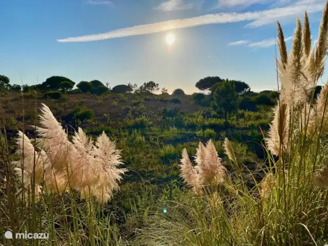 Villa Oase Azul huren in Portugal, Lissabon Kust, Sesimbra - villa Omgeving