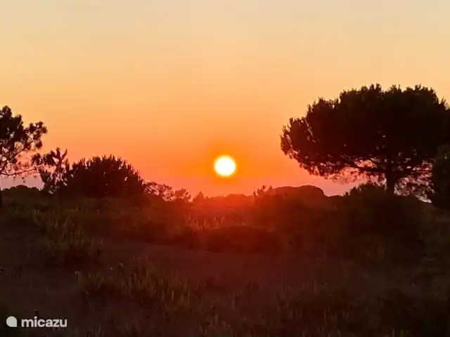 Villa Oase Azul huren in Portugal, Lissabon Kust, Sesimbra - villa Avondrood