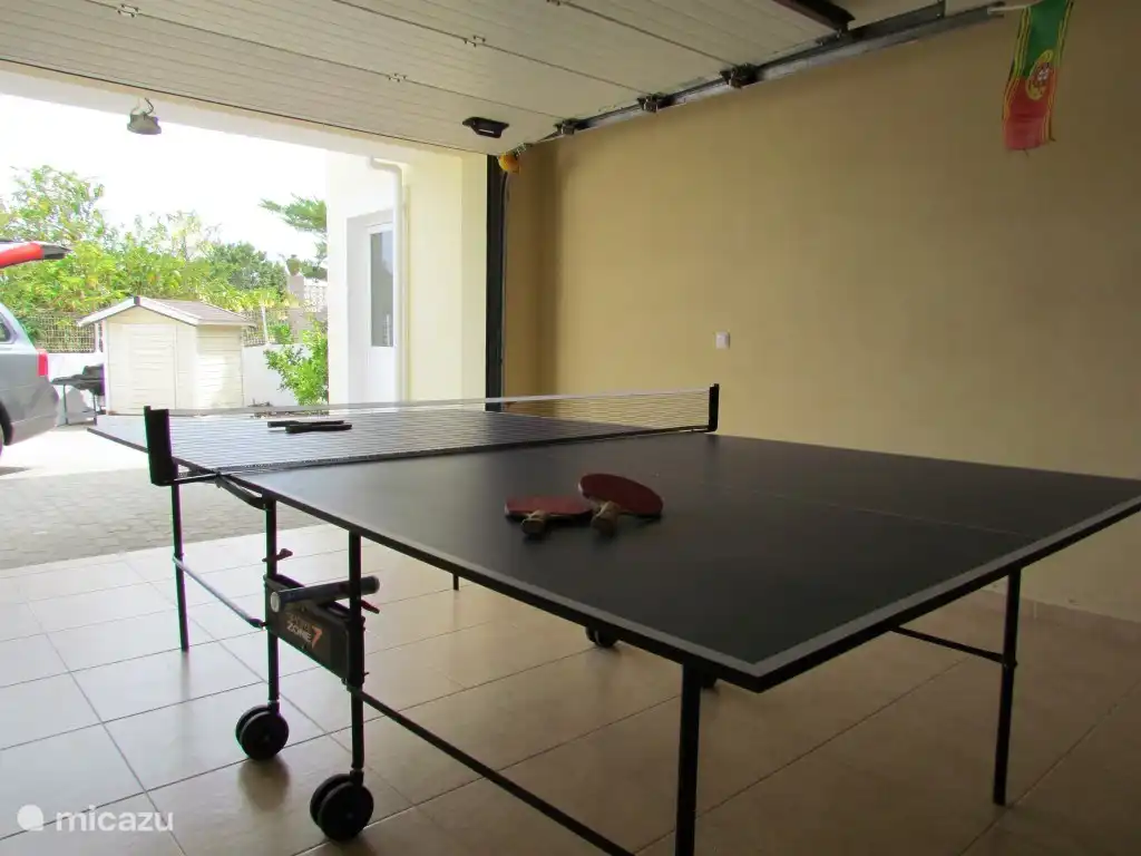 Keller/Garage – Tischtennisplatte