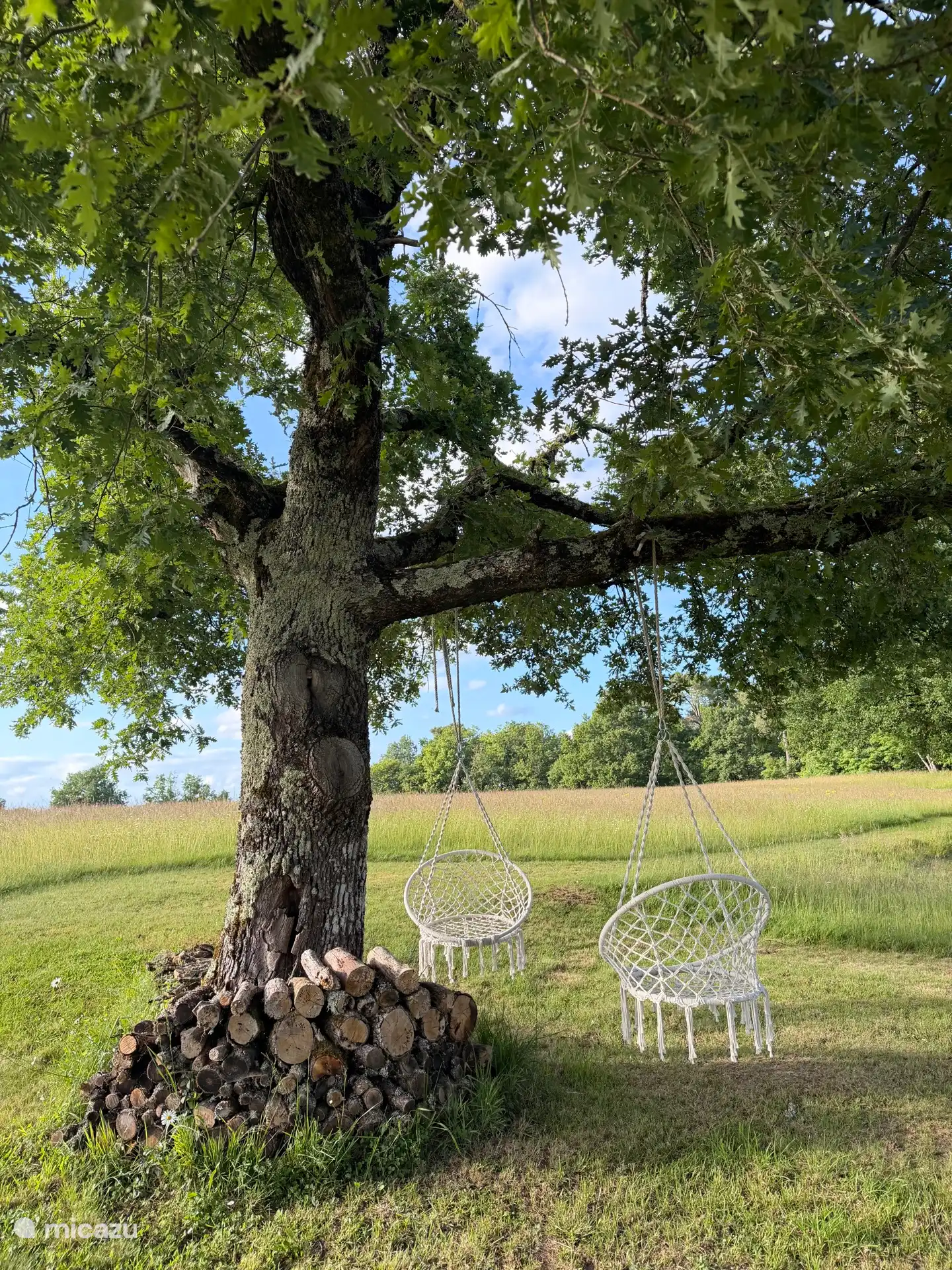 Au verger, vous pouvez profiter de la nature ensemble en paix.