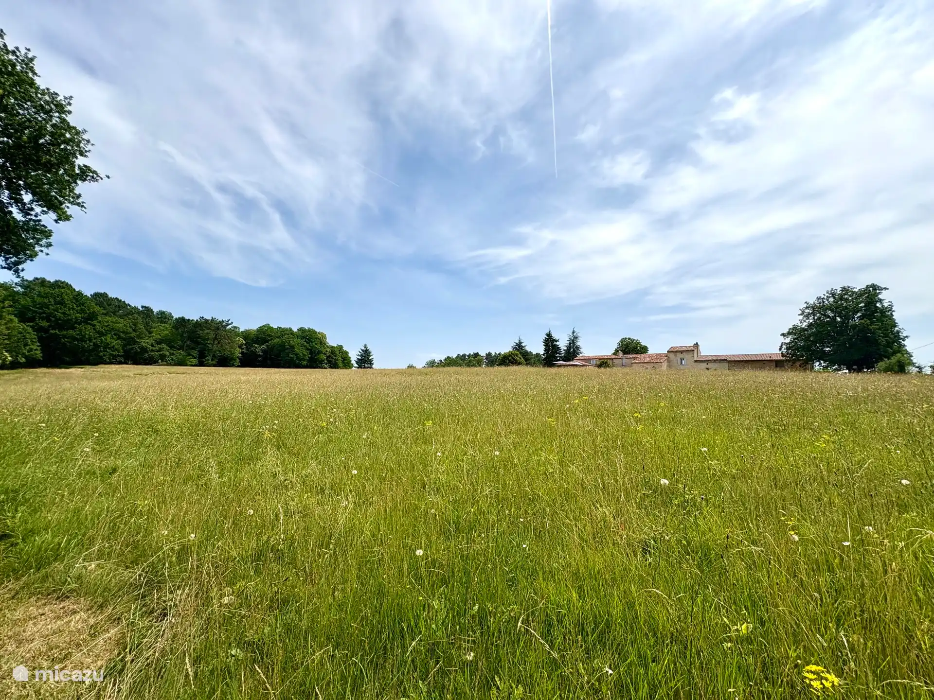 De achtertuin. In de zomer laten wij het gras bewust doorgroeien, zodat een lokale boer het rond eind juni kan maaien. Het gemaaide gras wordt vervolgens gebruikt als voer voor zijn paarden. 