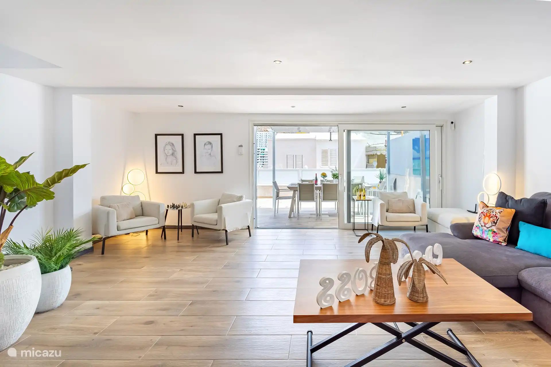 Salon spacieux avec terrasse attenante