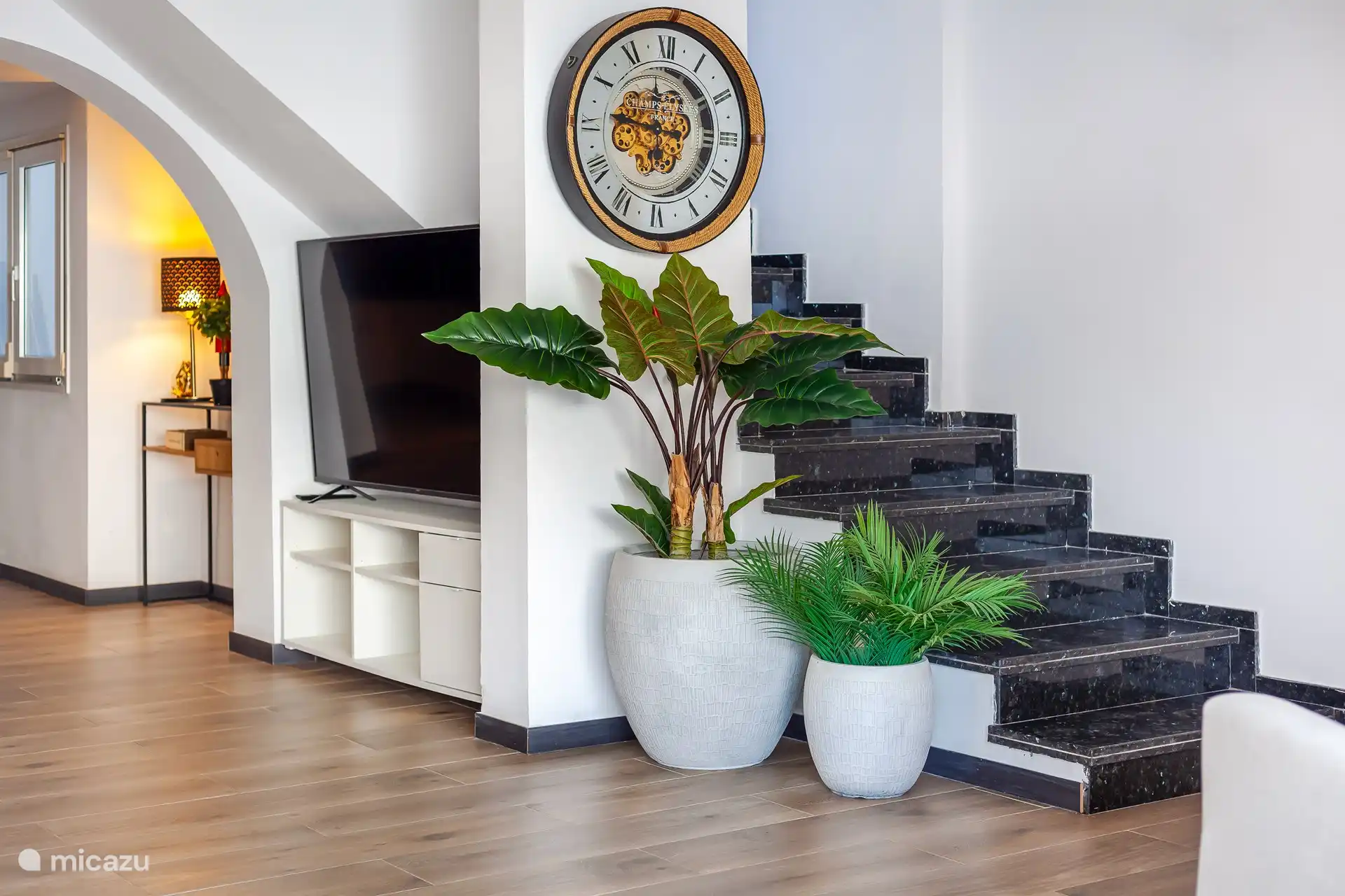 Beaucoup de plantes et d’accessoires amusants