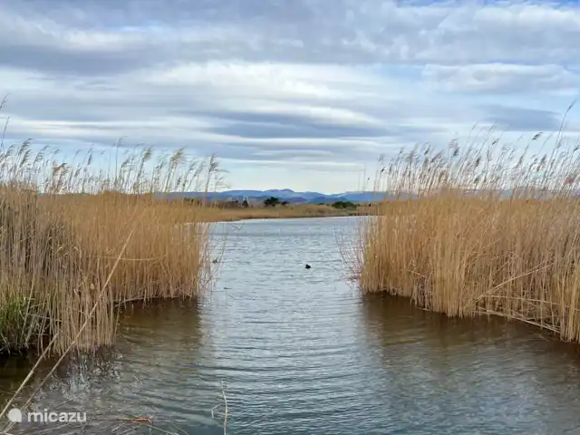 CasaSaintAygulf en Francia, Costa Azul, San Aygulfo - casa vacacional Plage Esclamandes