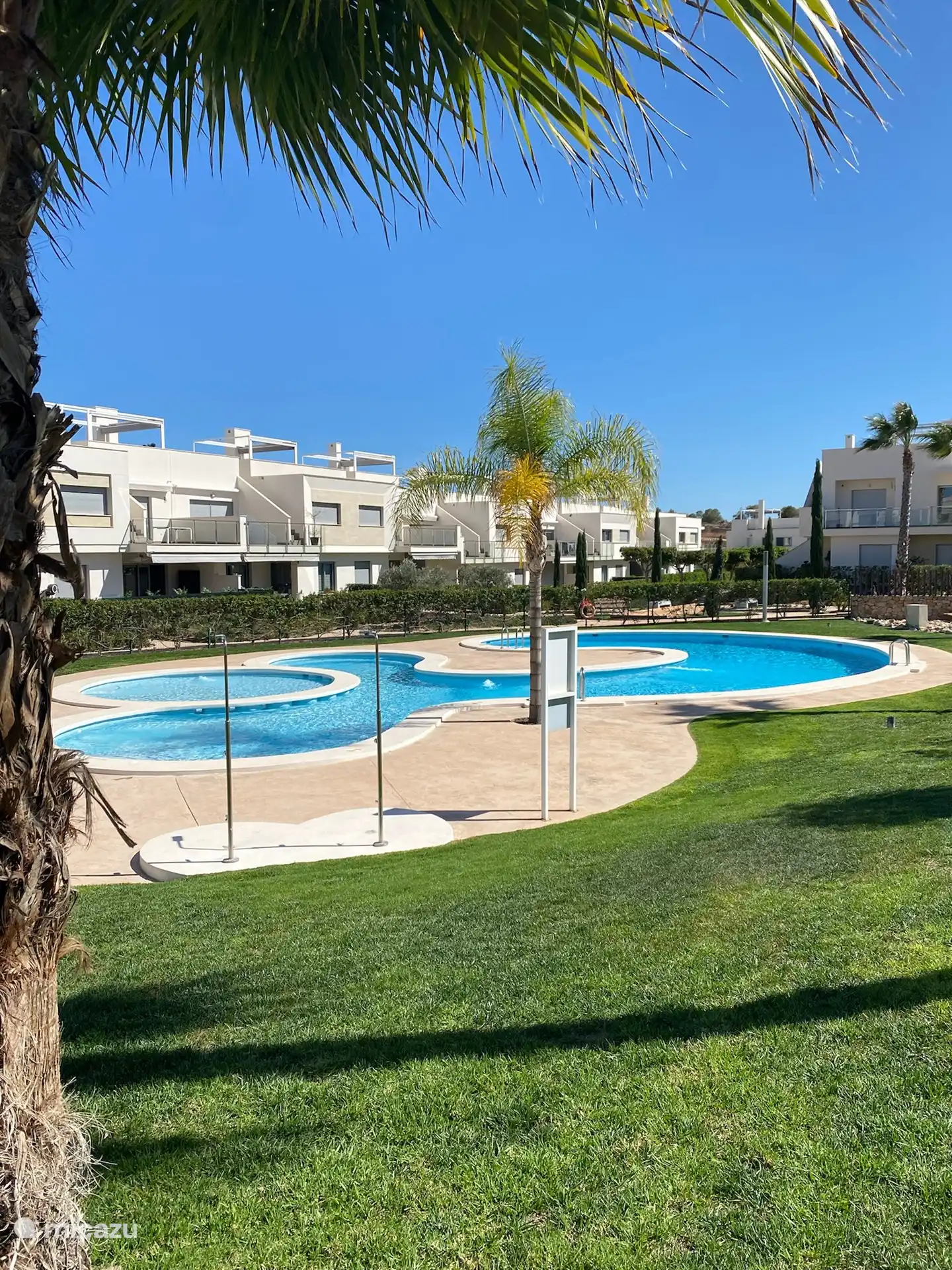 Gemeinschaftsgarten mit Swimmingpool