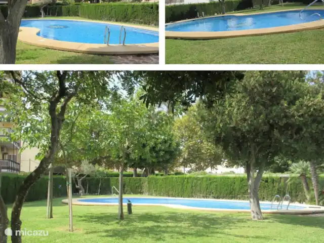 Apartamento Playa Jávea Arenal en España, Costa Blanca, Jávea - apartamento Piscina