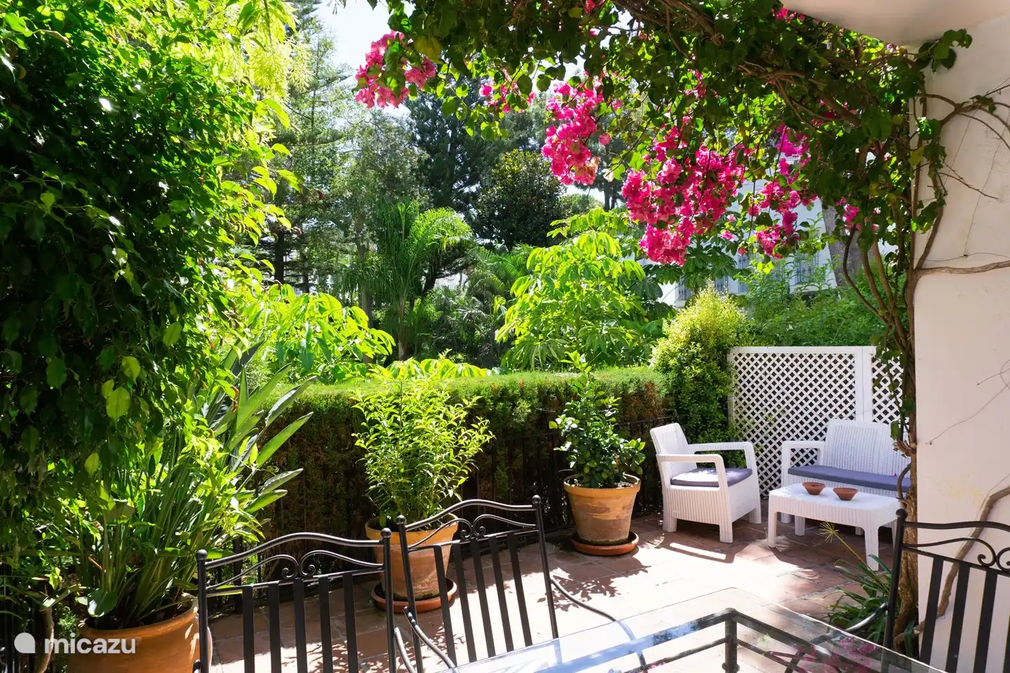 Terraza y jard&#237;n