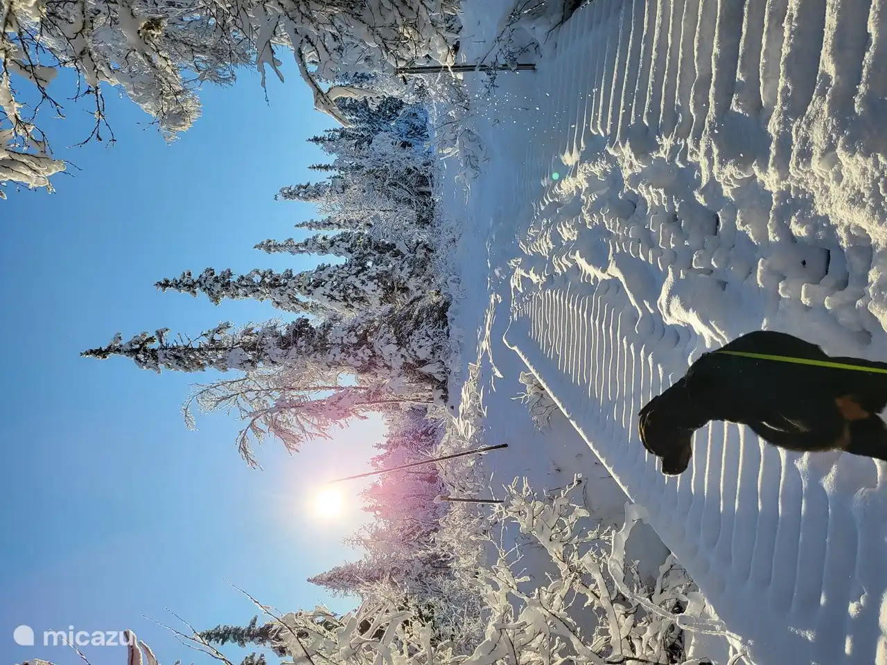 Senderismo en la nieve