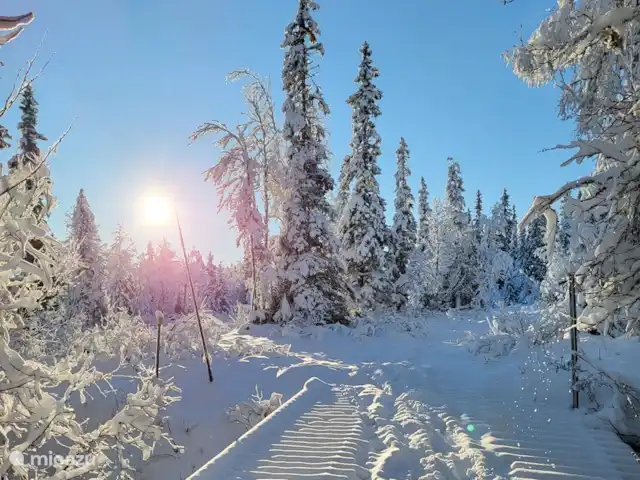 Maison de montagne d'Önrun | Suède, Jämtland, Föllinge - maison de vacances Randonnée dans la neige