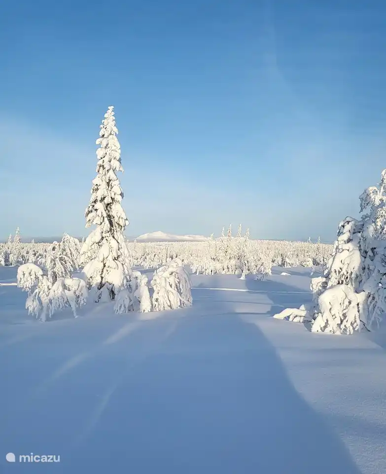 País de las maravillas invernal