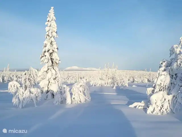 Maison de montagne d'Önrun | Suède, Jämtland, Föllinge - maison de vacances Féérie hivernale