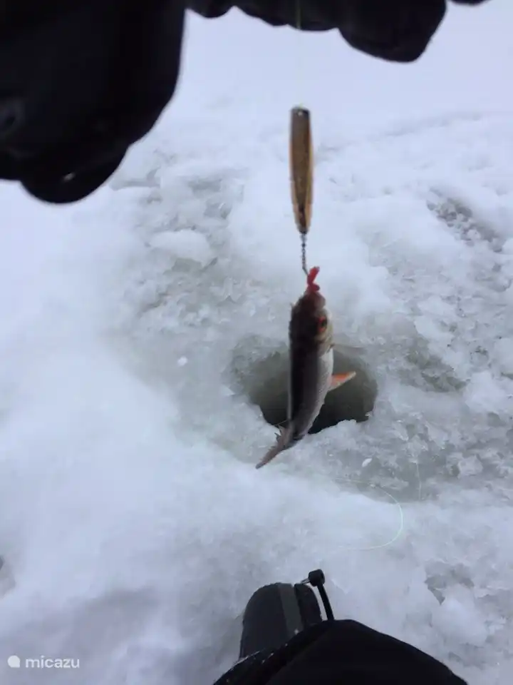 Pesca en hielo