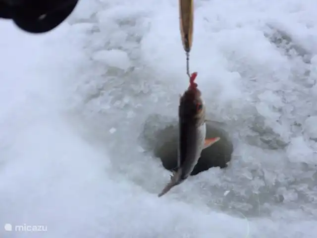 Maison de montagne d'Önrun | Suède, Jämtland, Föllinge - maison de vacances Pêche sur glace