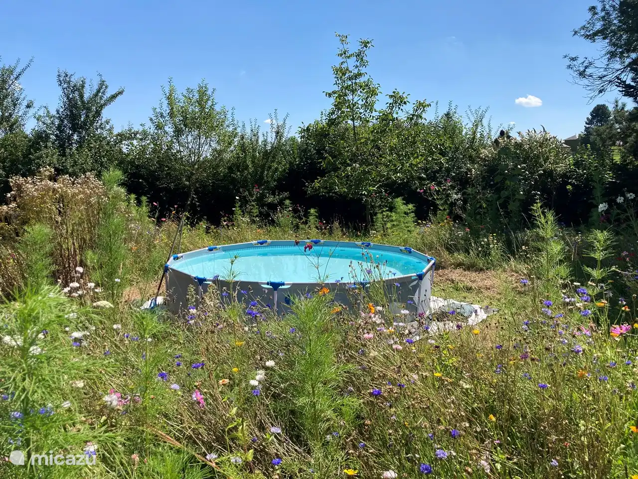 la piscine est dans le jardin pendant les mois d'été