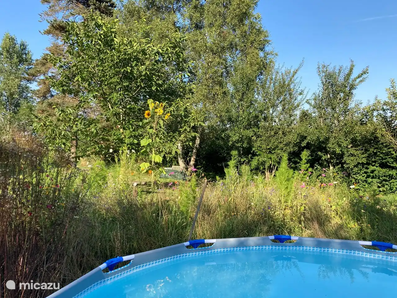 au milieu d'une mer de fleurs