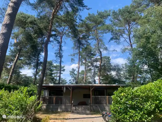 Casa Verónica en Países Bajos, Overijssel, Raalte - chalet Gran jardín rodeado de pinos para mayor privacidad.