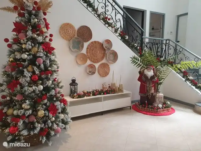 C’est officiellement Noël à la Villa Lucia : le sapin de Noël est en place et les lumières scintillent.