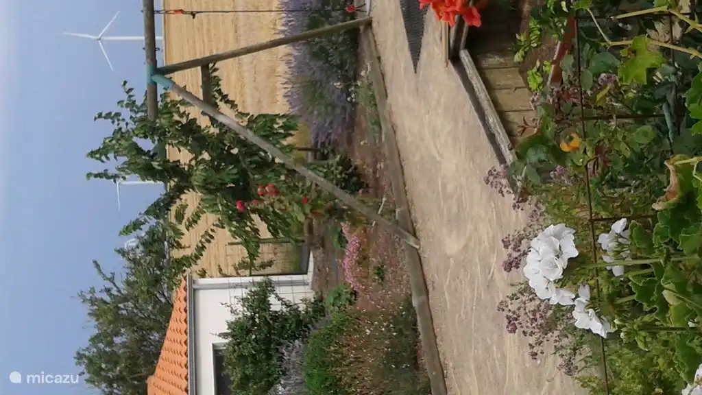 Dies ist unsere völlig frei Rückansicht mit Kegelbahn und Schaukel.