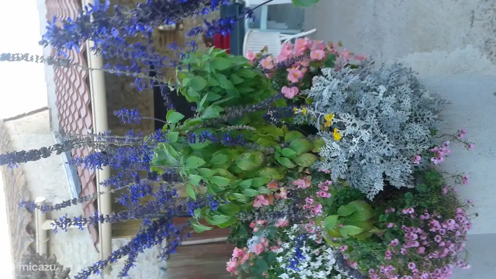 Das ist außerhalb des Zimmers.