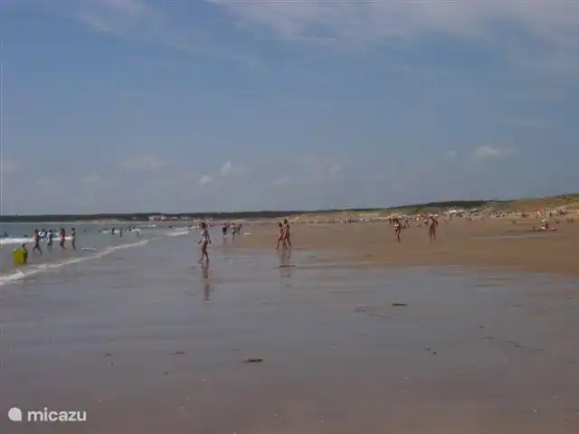 Studio Le Clos Robert incl. ontbijt huren in Frankrijk, Vendée, Longeville-sur-Mer - vakantiehuis Dit is een foto van het strand, met de auto 7 km rijden vanaf Uw gastenverblijf. Een perfekt eventueel bewaakt strand. Er zijn twee strandstoeltjes , een parasol en een windschermtentje beschikbaar.