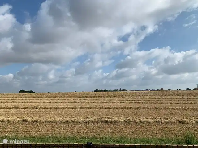 Studio Le Clos Robert incl. ontbijt huren in Frankrijk, Vendée, Longeville-sur-Mer - vakantiehuis Uitzicht achterkant. Soms zonnebloemen, soms mais, vlas of koren