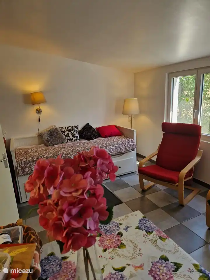 Wohnbereich mit Schlafsofa.