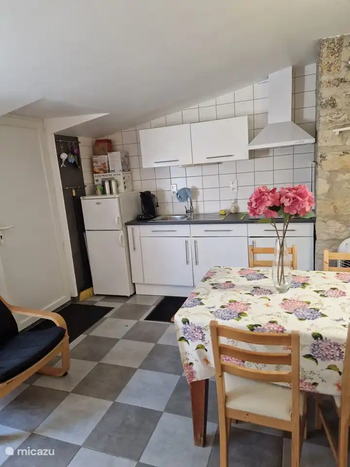 Küche mit Kühlschrank, Induktionskochfeld, Mikrowelle.