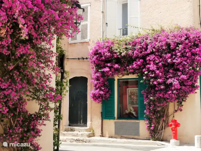 Villa Mentine avec vue sur la mer | France, Côte d'Azur, Les Issambres - villa