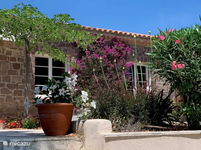 Villa Mentine avec vue sur la mer | France, Côte d'Azur, Les Issambres - villa