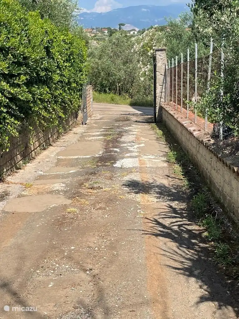 la longue allée jusqu'à la maison