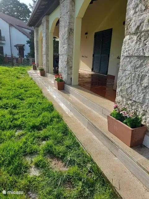 jardin de printemps avec plantes à fleurs