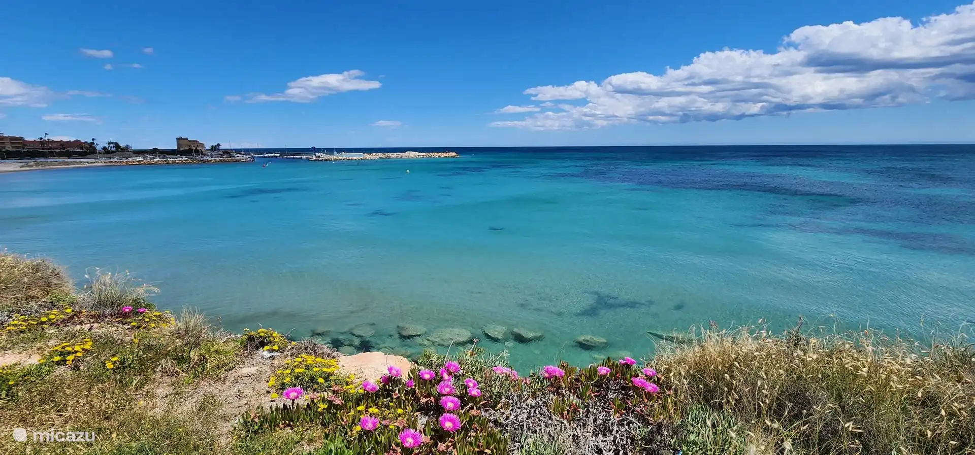 Meist komplett blau!