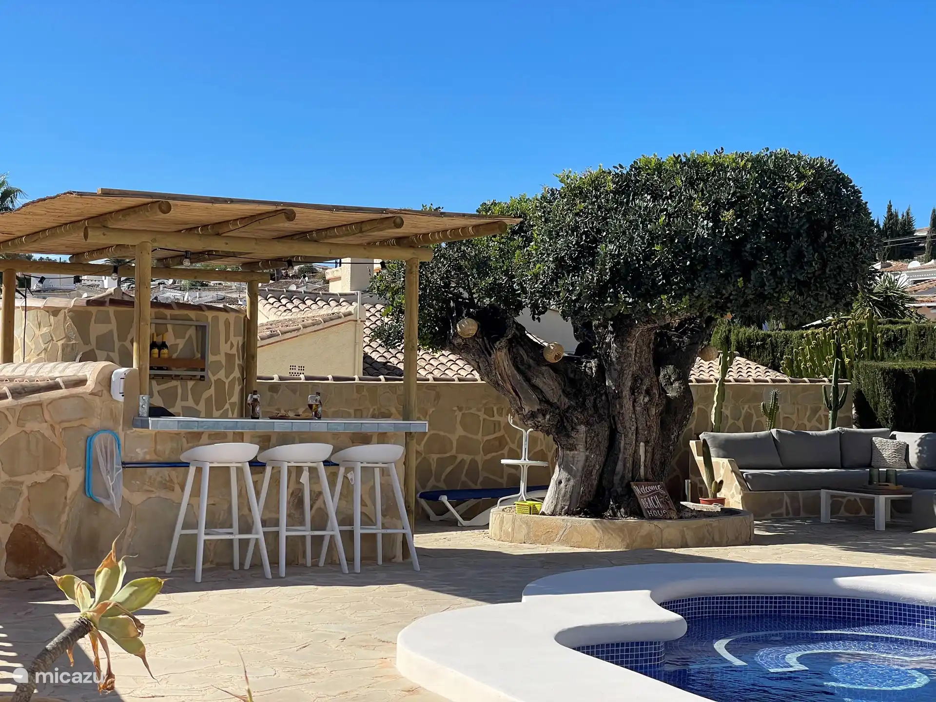 Bar and outdoor kitchen
