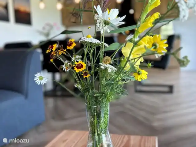 Âlde Feanen/Landgoed Âld Heach Hiem | Pays-Bas, Frise, Goëngahuizen - maison de vacances fleurs fraîchement cueillies du Domaine