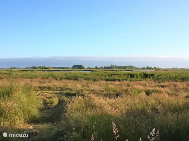 Domaine Âld Heach Hiem 14 personnes | Pays-Bas, Frise, Goëngahuizen - maison de vacances Voir la résidence de vacances Alde Feanen