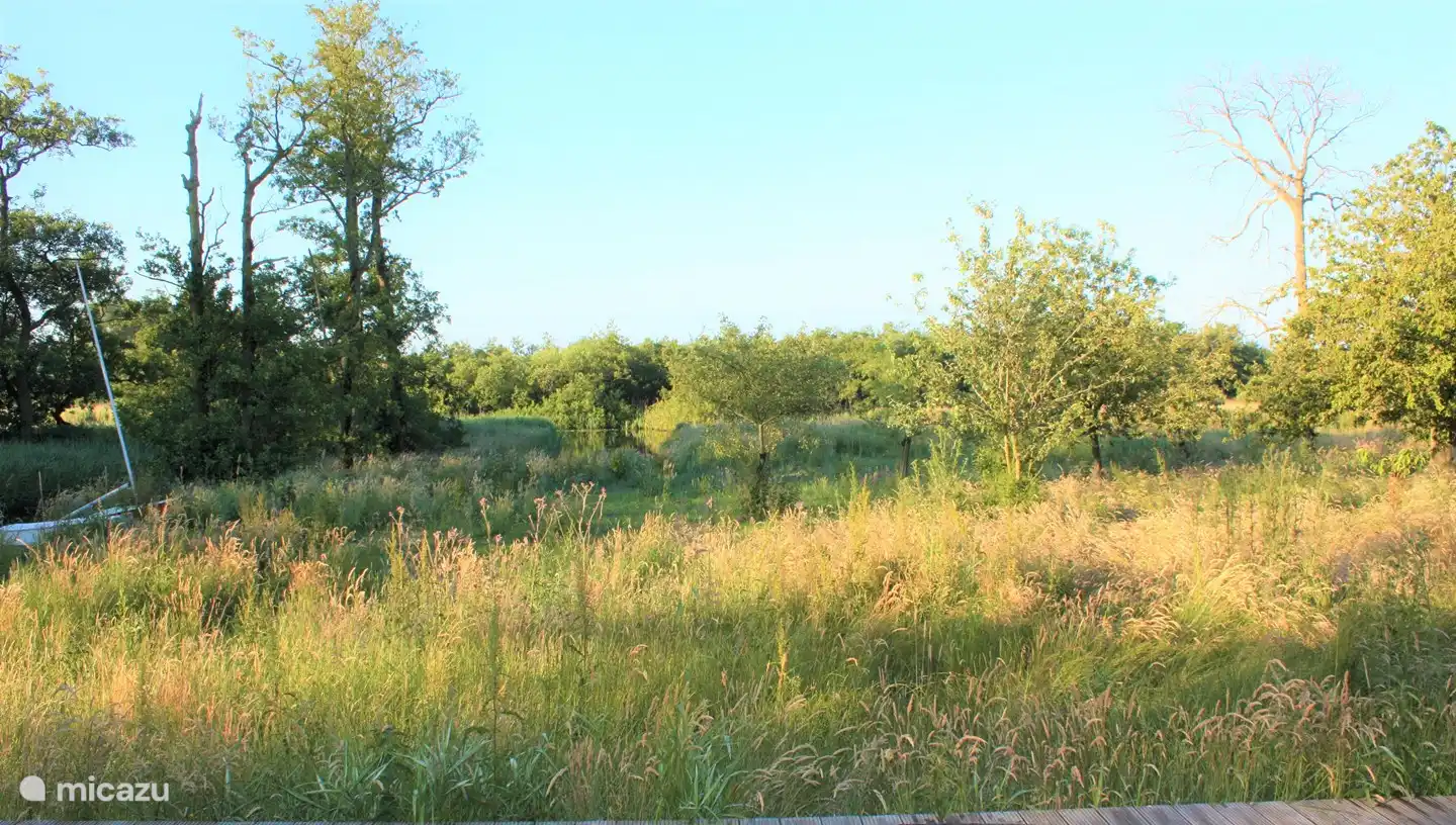 Ferienhaus Janssloot . ansehen