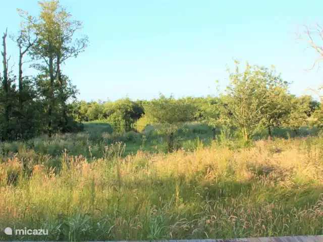 Domaine Âld Heach Hiem 14 personnes | Pays-Bas, Frise, Goëngahuizen - maison de vacances Voir la résidence de vacances Janssloot