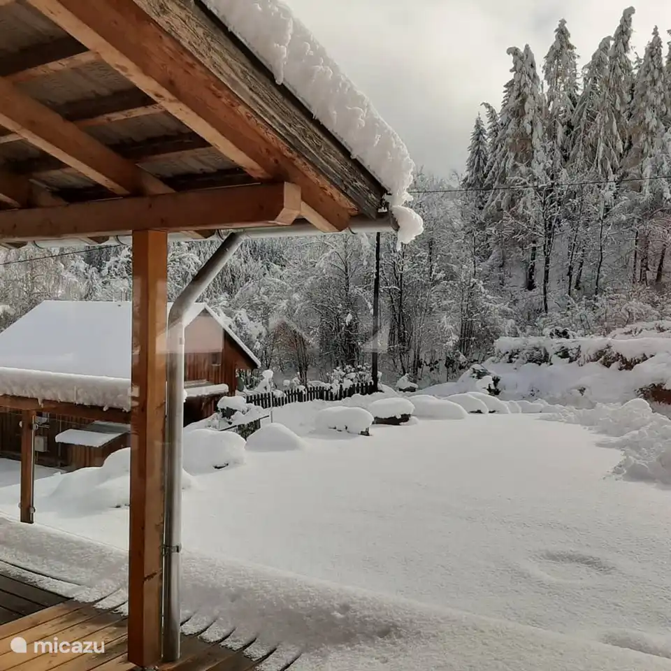 Impresiones invernales