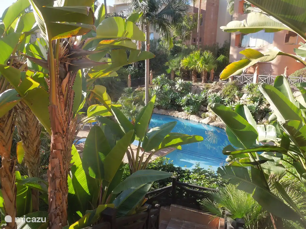 swimming pool and garden